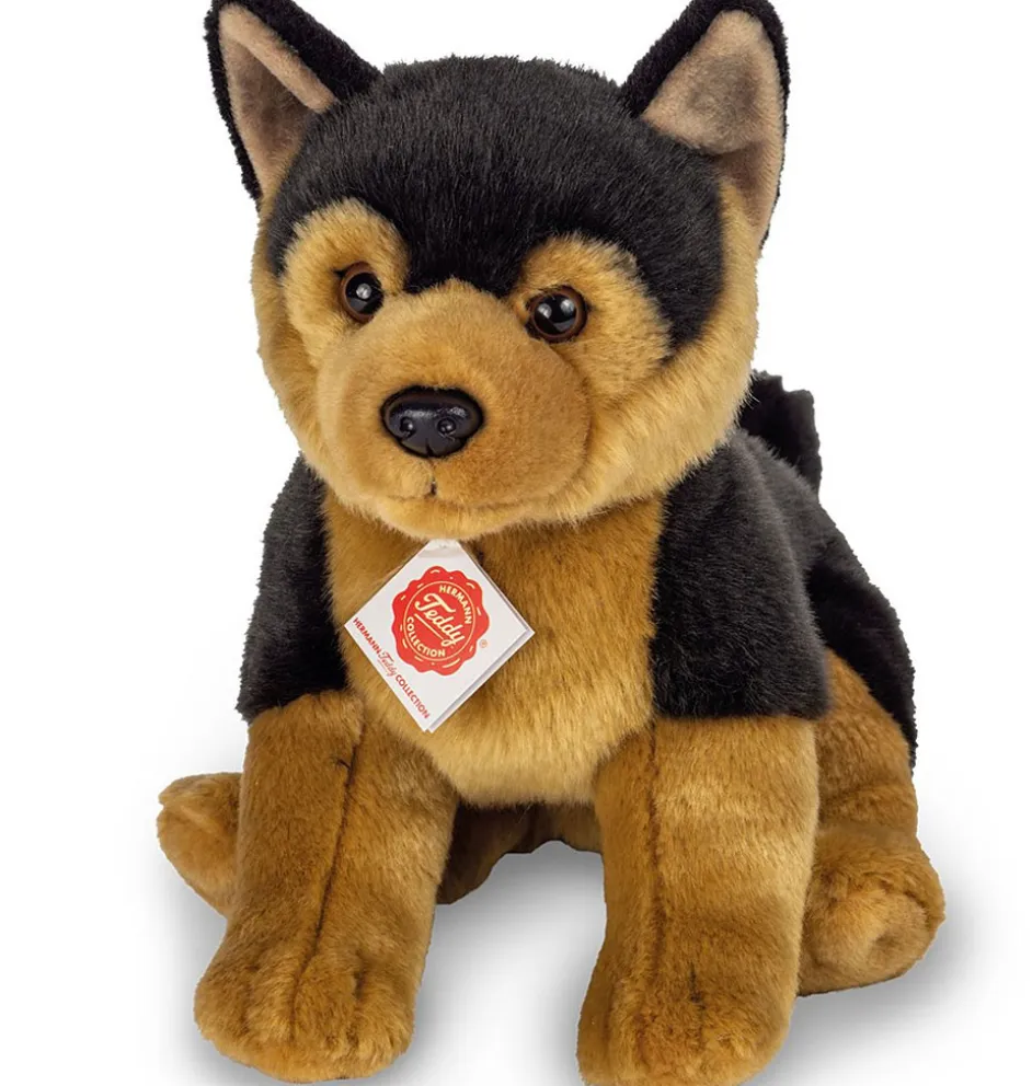 Hermann Teddy / herdershond puppy
