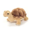 Hermann Teddy / schildpad