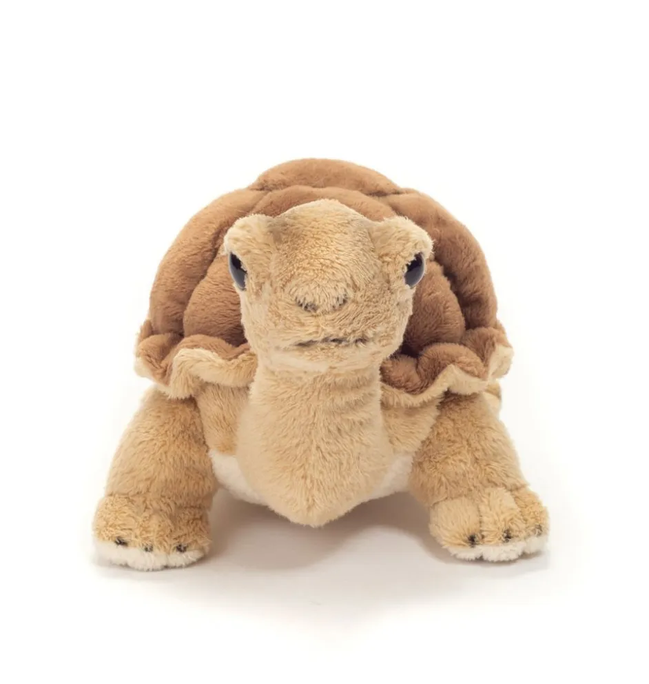 Hermann Teddy / schildpad