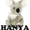 Minikane/Semo koalabeer Hanya