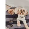OYOY hondenspeelgoed Otto Rope