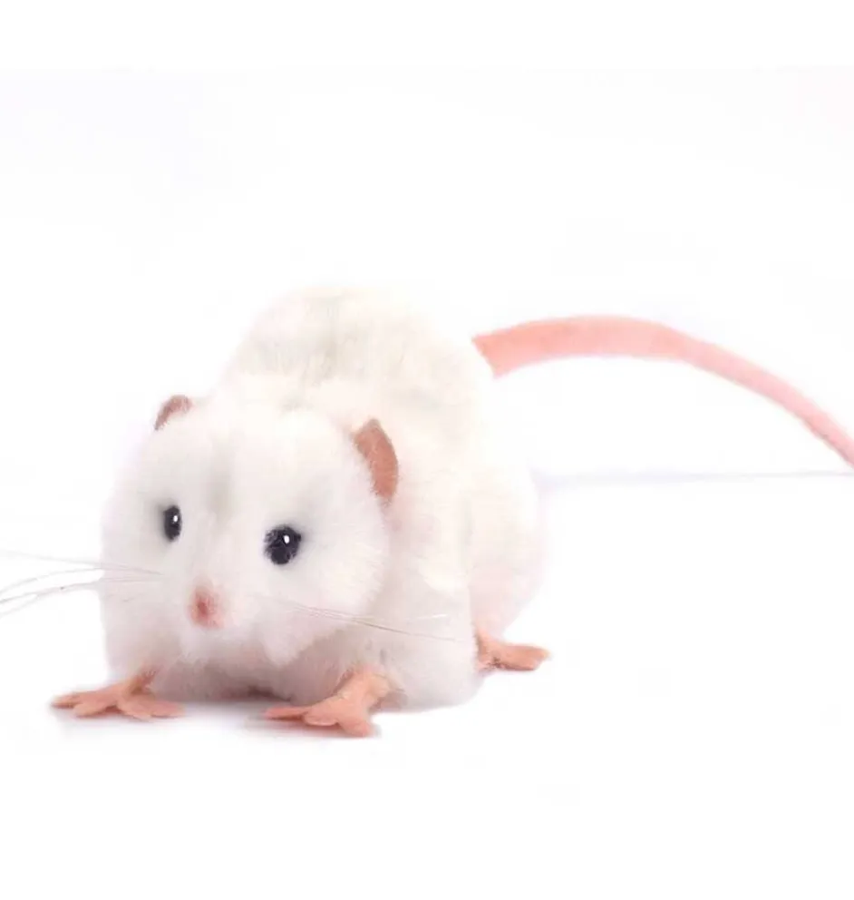 Witte Hansa knuffelrat